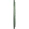 Ekena Millwork Winsor Ceiling Medallion (Fits Canopies up to 4"), 27 1/2"OD x 4"ID x 1 1/2"P, Athenian Green CM27WIAGF - alternate 3